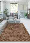 Living Room Rugs