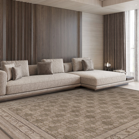 Living Room Rugs