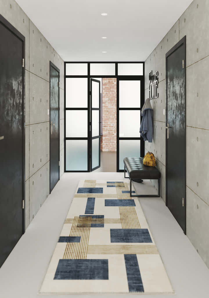 Entryway Rugs; Hallway Runner Rugs