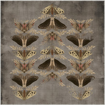 Square Rugs