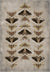 Celestia Beige Moth Rug