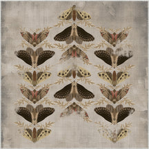 Square Rugs