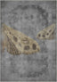 Fionella Butterfly Rug