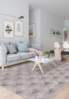 Living Room Rugs