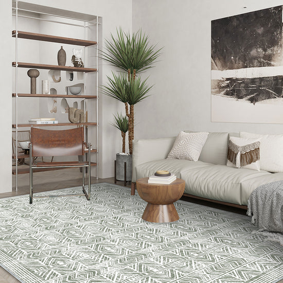 Living Room Rugs