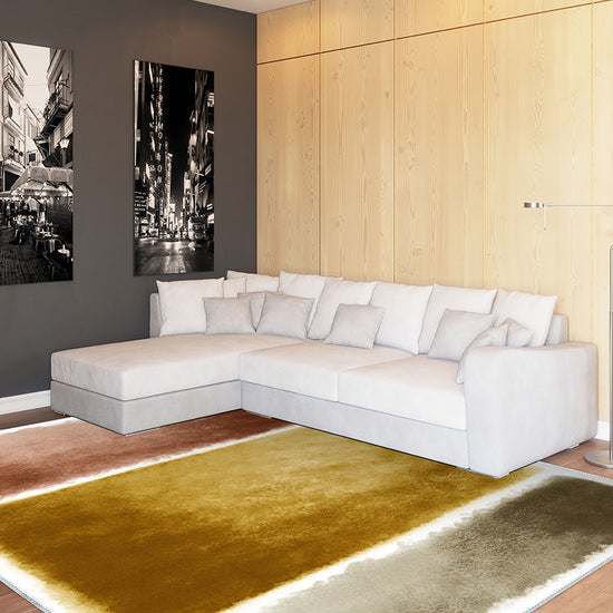 Living Room Rugs