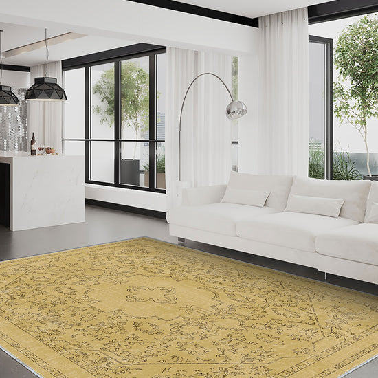 Living Room Rugs