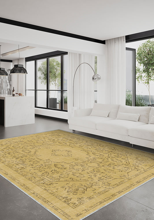 Living Room Rugs