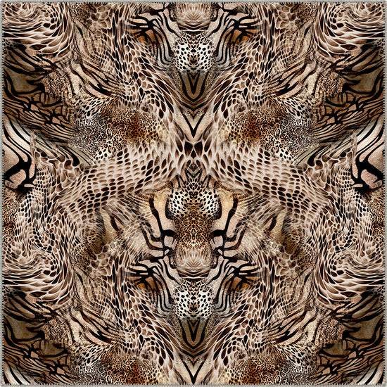 Square Rugs