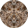 Round Rugs