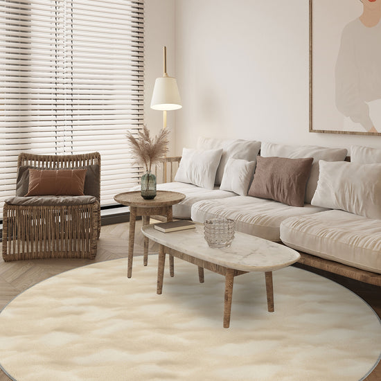 Living Room Rugs