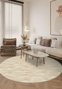 Living Room Rugs