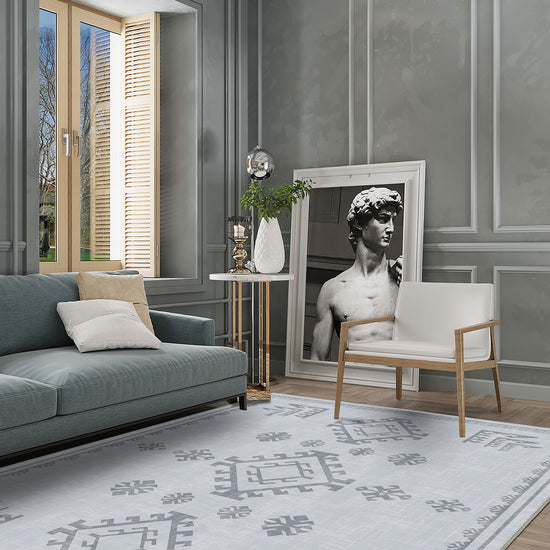 Living Room Rugs