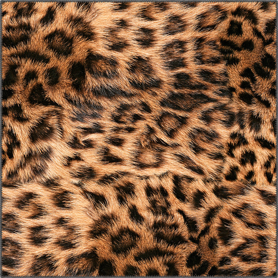 Square Rugs