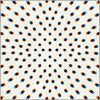 Square Rugs