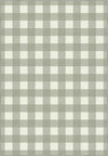 Jove Checkered Sage Green Rug