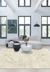 Living Room Rugs