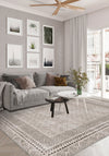 Living Room Rugs