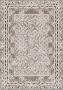Calyra Bordered Beige Rug