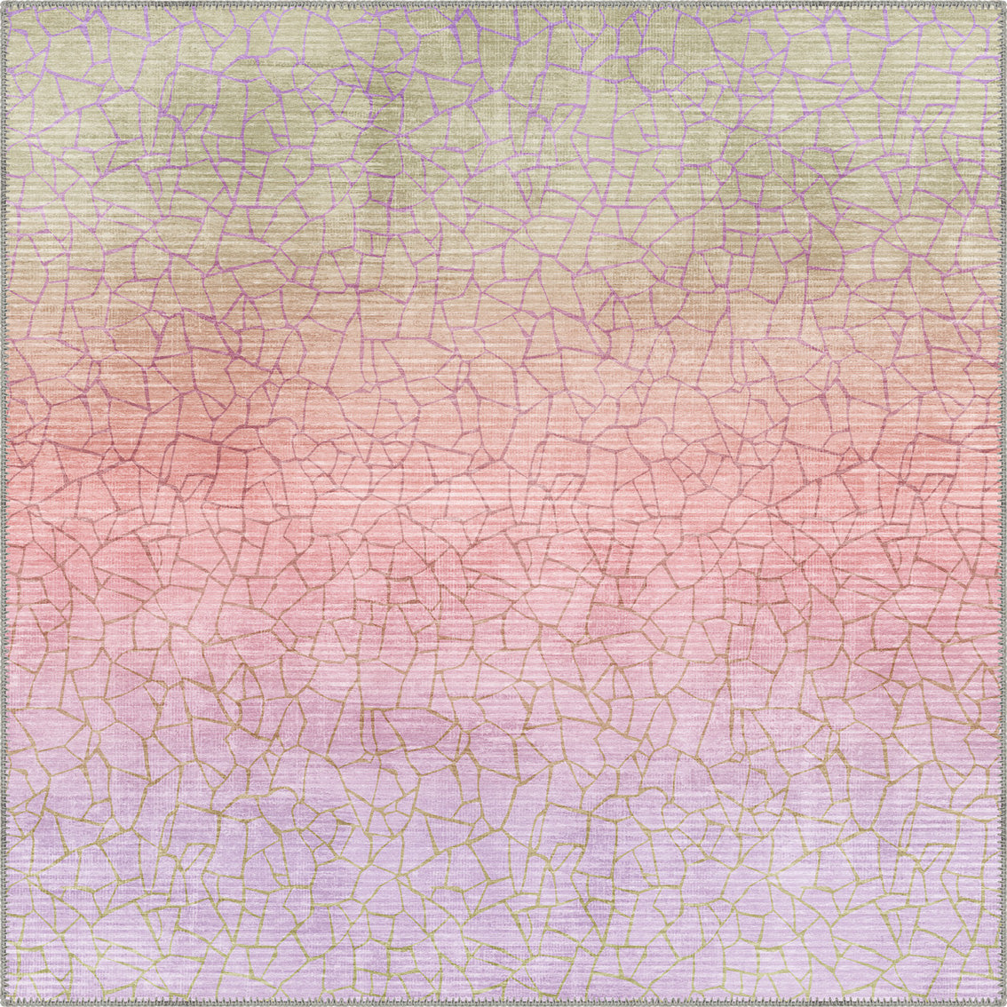 Square Rugs
