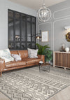 Living Room Rugs