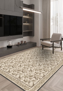 Living room with a patterned rug, TV, and chair.