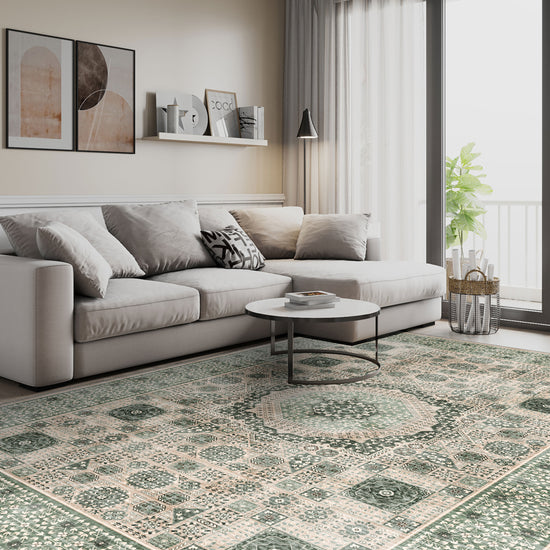 Living Room Rugs