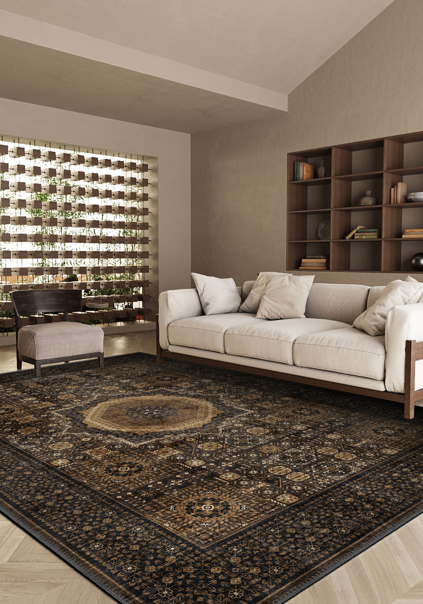 Living Room Rugs