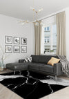 Black and white modern rug for living room.