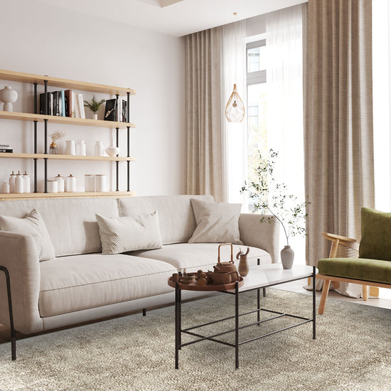 Living Room Rugs