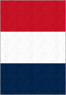 Valois French Flag Rug